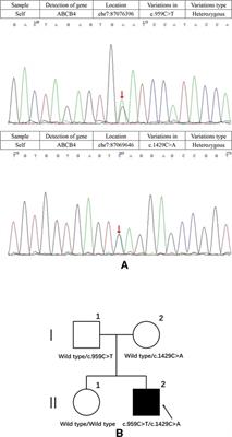 Case Report: A rare case of young adult progressive familial intrahepatic cholestasis-type 3 with a novel heterozygous pathogenic variant of ABCB4